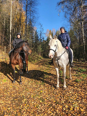 Конная прогулка для двоих в Перми. Подарочные сертификаты Ultra Подарки. Купить оригинальный подарок или подарочный сертификат на Конная прогулка для двоих в Перми. Сервис UltraPodarki.ru 8-800-505-9530. Катание на лошадях, Прогулка на лошади, Прогулка на лошадях для двоих, Конная прогулка для двоих, конный клуб, Конный клуб, конная прогулка, конная прогулка в Перми