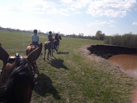 Конная прогулка для двоих в Перми. Подарочные сертификаты Ultra Подарки. Купить оригинальный подарок или подарочный сертификат на Конная прогулка для двоих в Перми. Сервис UltraPodarki.ru 8-800-505-9530. Катание на лошадях, Прогулка на лошади, Прогулка на лошадях для двоих, Конная прогулка для двоих, конный клуб, Конный клуб, конная прогулка, конная прогулка в Перми