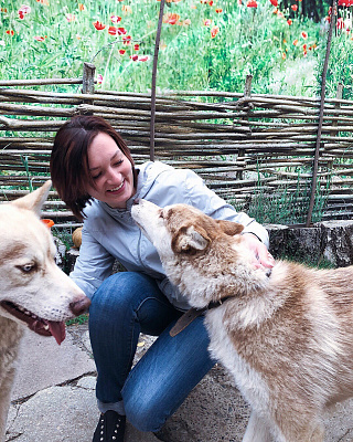 Катание на хаски в Перми. Ultra Подарки. Катание на хаски в Перми. Попробуйте Катание на хаски. Сервис: UltraPodarki.ru 8 800 505 95 30. Катание на хаски Пермь, Катание на хаски в Перми, хаски, животные в Перми, 