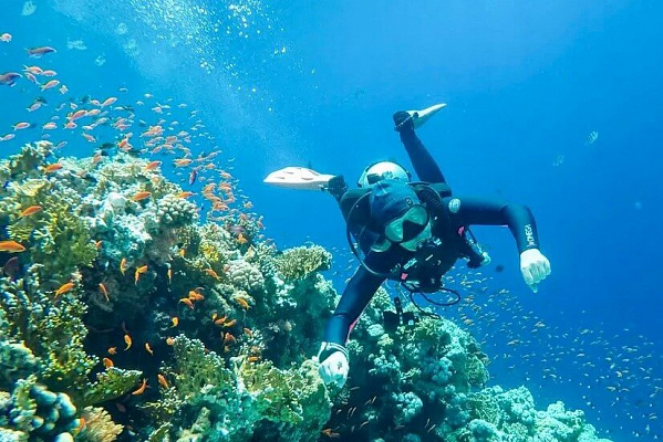 Дайвинг в Перми глубокое погружение с аквалангом. Ultra Подарки. Дайвинг. Купить дайвинг в Перми, обучение глубокому погружению, арендовать акваланг и подводное снаряжение. UltraPodarki.ru 8 800 505 95 30. дайвинг погружение Пермь, подводное плавание Пермь, дайвинг клуб Пермь, подарочные сертификаты, глубокое погружение, погружение с аквалангом Пермь, дайвинг центр Пермь, купить дайвинг Пермь