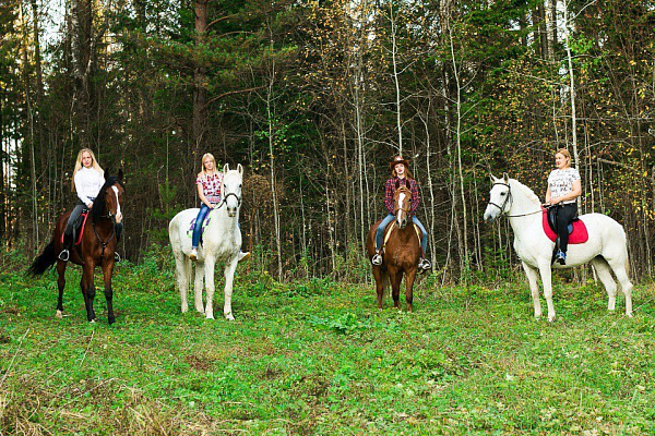 Конная прогулка для двоих в Перми. Подарочные сертификаты Ultra Подарки. Купить оригинальный подарок или подарочный сертификат на Конная прогулка для двоих в Перми. Сервис UltraPodarki.ru 8-800-505-9530. Катание на лошадях, Прогулка на лошади, Прогулка на лошадях для двоих, Конная прогулка для двоих, конный клуб, Конный клуб, конная прогулка, конная прогулка в Перми