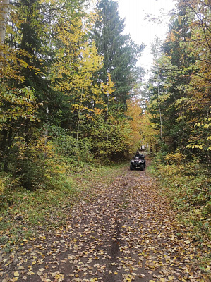 Катание на квадроциклах в Перми. Сервис Ultra Подарки. Подарочный сертификат на катание на квадроциклах в Перми. Закажите катание на квадроциклах недорого и наслаждайтесь активным отдыхом с друзьями. Выбирайте живописные маршруты для езды на квадроциклах. Сервис UltraPodarki.ru 8800-505-9530. Катание на квадроциклах, Прокат квадроциклов, езда на квадроцикле, прокат квадроциклов Пермь, катание на квадроциклах Пермь, Катание на квадроциклах зимой, Катание на квадроциклах летом, Сертификат на катание на квадроциклах 

