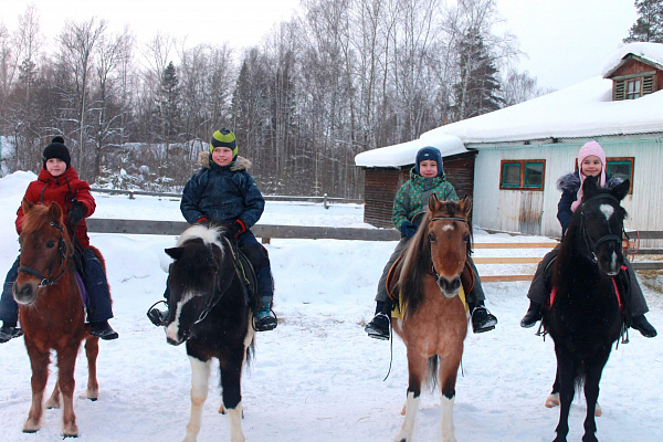 Конная прогулка для двоих в Перми. Подарочные сертификаты Ultra Подарки. Купить оригинальный подарок или подарочный сертификат на Конная прогулка для двоих в Перми. Сервис UltraPodarki.ru 8-800-505-9530. Катание на лошадях, Прогулка на лошади, Прогулка на лошадях для двоих, Конная прогулка для двоих, конный клуб, Конный клуб, конная прогулка, конная прогулка в Перми
