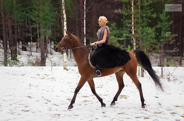 Конная прогулка для двоих в Перми. Подарочные сертификаты Ultra Подарки. Купить оригинальный подарок или подарочный сертификат на Конная прогулка для двоих в Перми. Сервис UltraPodarki.ru 8-800-505-9530. Катание на лошадях, Прогулка на лошади, Прогулка на лошадях для двоих, Конная прогулка для двоих, конный клуб, Конный клуб, конная прогулка, конная прогулка в Перми