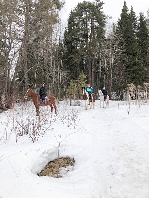 Конная прогулка для двоих в Перми. Подарочные сертификаты Ultra Подарки. Купить оригинальный подарок или подарочный сертификат на Конная прогулка для двоих в Перми. Сервис UltraPodarki.ru 8-800-505-9530. Катание на лошадях, Прогулка на лошади, Прогулка на лошадях для двоих, Конная прогулка для двоих, конный клуб, Конный клуб, конная прогулка, конная прогулка в Перми