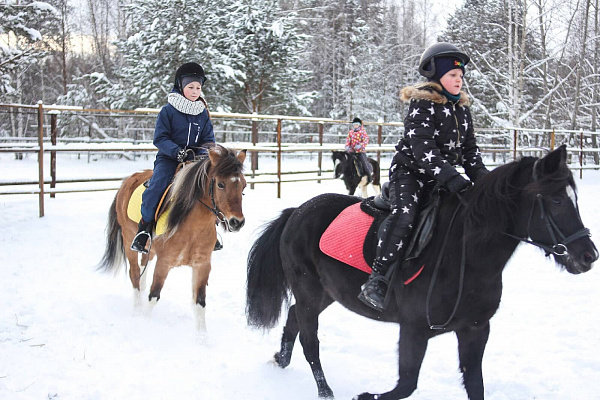 Конная прогулка для двоих в Перми. Подарочные сертификаты Ultra Подарки. Купить оригинальный подарок или подарочный сертификат на Конная прогулка для двоих в Перми. Сервис UltraPodarki.ru 8-800-505-9530. Катание на лошадях, Прогулка на лошади, Прогулка на лошадях для двоих, Конная прогулка для двоих, конный клуб, Конный клуб, конная прогулка, конная прогулка в Перми