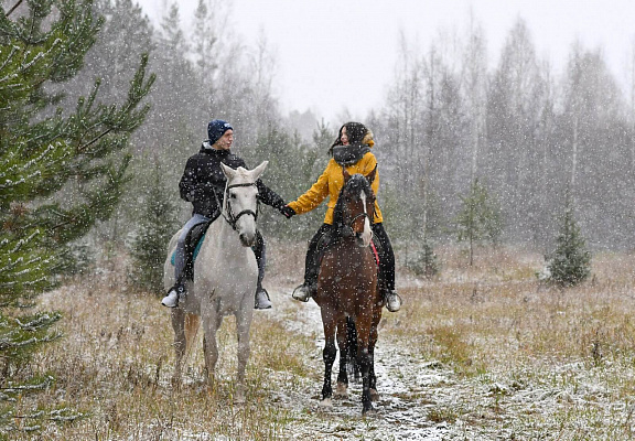 Конная прогулка для двоих в Перми. Подарочные сертификаты Ultra Подарки. Купить оригинальный подарок или подарочный сертификат на Конная прогулка для двоих в Перми. Сервис UltraPodarki.ru 8-800-505-9530. Катание на лошадях, Прогулка на лошади, Прогулка на лошадях для двоих, Конная прогулка для двоих, конный клуб, Конный клуб, конная прогулка, конная прогулка в Перми