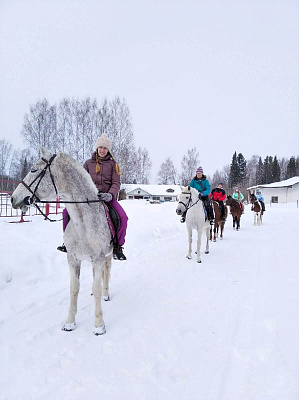 Конная прогулка для двоих в Перми. Подарочные сертификаты Ultra Подарки. Купить оригинальный подарок или подарочный сертификат на Конная прогулка для двоих в Перми. Сервис UltraPodarki.ru 8-800-505-9530. Катание на лошадях, Прогулка на лошади, Прогулка на лошадях для двоих, Конная прогулка для двоих, конный клуб, Конный клуб, конная прогулка, конная прогулка в Перми