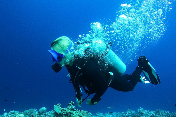 Дайвинг в Перми глубокое погружение с аквалангом. Ultra Подарки. Дайвинг. Купить дайвинг в Перми, обучение глубокому погружению, арендовать акваланг и подводное снаряжение. UltraPodarki.ru 8 800 505 95 30. дайвинг погружение Пермь, подводное плавание Пермь, дайвинг клуб Пермь, подарочные сертификаты, глубокое погружение, погружение с аквалангом Пермь, дайвинг центр Пермь, купить дайвинг Пермь