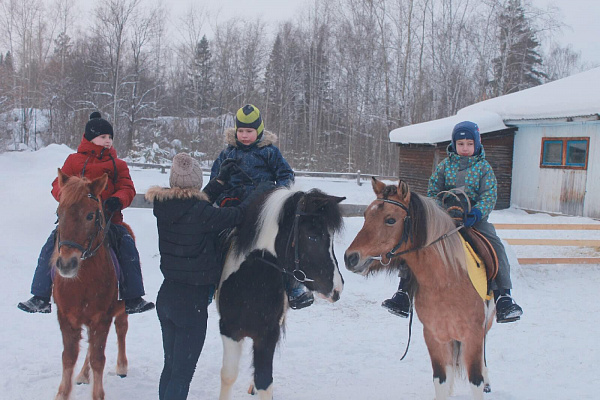 Конная прогулка для двоих в Перми. Подарочные сертификаты Ultra Подарки. Купить оригинальный подарок или подарочный сертификат на Конная прогулка для двоих в Перми. Сервис UltraPodarki.ru 8-800-505-9530. Катание на лошадях, Прогулка на лошади, Прогулка на лошадях для двоих, Конная прогулка для двоих, конный клуб, Конный клуб, конная прогулка, конная прогулка в Перми