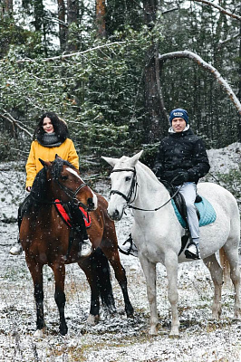 Конная прогулка для двоих в Перми. Подарочные сертификаты Ultra Подарки. Купить оригинальный подарок или подарочный сертификат на Конная прогулка для двоих в Перми. Сервис UltraPodarki.ru 8-800-505-9530. Катание на лошадях, Прогулка на лошади, Прогулка на лошадях для двоих, Конная прогулка для двоих, конный клуб, Конный клуб, конная прогулка, конная прогулка в Перми